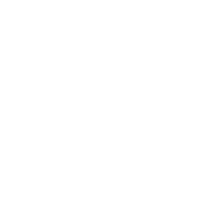 Predictable Costs & Outcomes