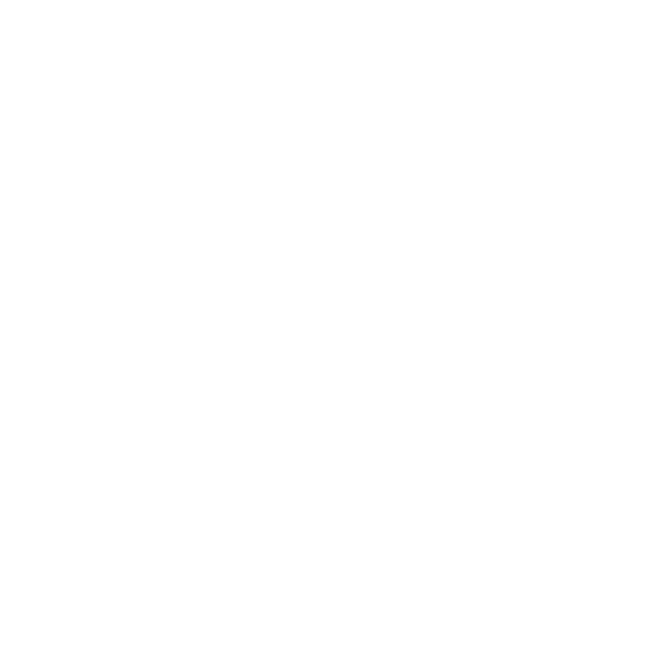 Point-of-Sale Issues
